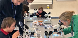 Magical marine workshop at Portfield School