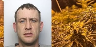 Landlord jailed after 200 cannabis plants found at his property