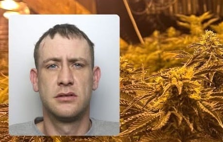 Martin Evans claimed he was unaware of the size of the operation being run from his home when he appeared at Swansea Crown Court, however in renting out a part of his property outside Kidwelly, the 37-year-old was deemed to have been a ‘facilitator’ for the illegal activity. 