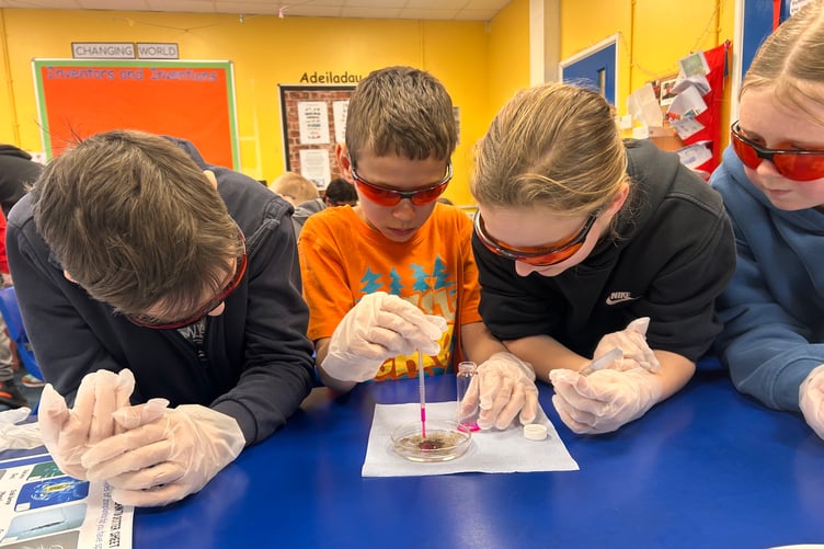 Holyname pupils staining their sand samples from Newport Sands