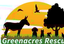 Stackpole Singers’ Pembroke Greenacres fundraiser coming soon