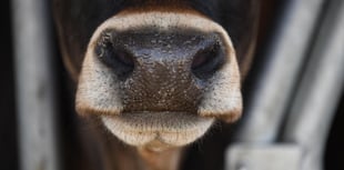 Pembrokeshire farm's slurry lagoon approved