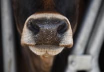 Pembrokeshire farm builds new slurry lagoon