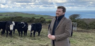 Senedd Member urges Chancellor - “Don’t sell out British farming”