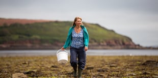 25 years protecting Pembrokeshire's marine life