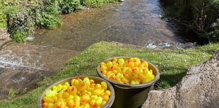 St Florence's Easter Duck Race raises just over £2,000