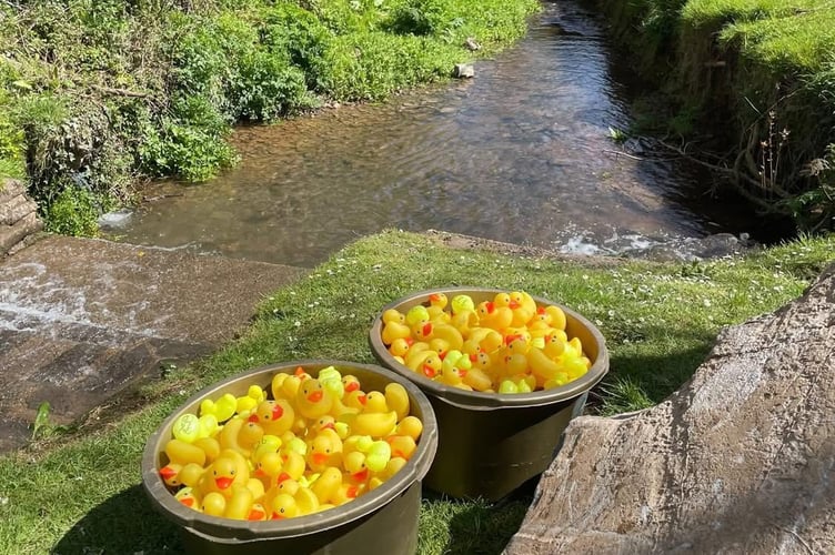 St Florence duck race