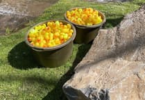 St Florence's Easter Duck Race raises just over £2,000