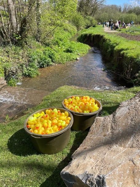 St Florence duck race