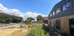 Dairy farm turns creative hub post-TB-free herd sale