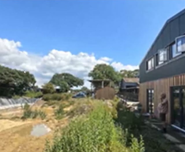 Dairy farm turns creative hub post-TB-free herd sale