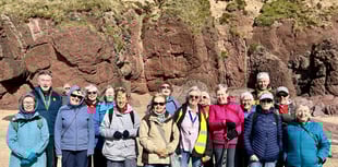 Tenby Steps2Health walking club April round-up