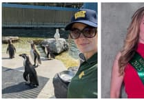 Folly Farm penguin keeper competes for 'Miss Earth Wales'