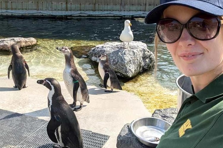 Good luck to Pembrokeshire’s Abigail Wood - who looks after penguins at Folly Farm as she prepares to challenge for the ‘Miss Earth Wales’ title at the event’s final later this month.