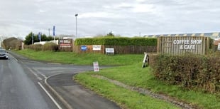 Dog daycare to replace Llanteg garden centre