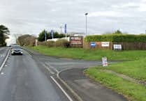 Dog daycare to open at former garden site