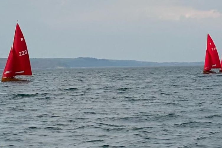 The Redwings in action