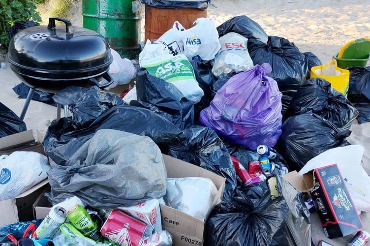 South beach litter