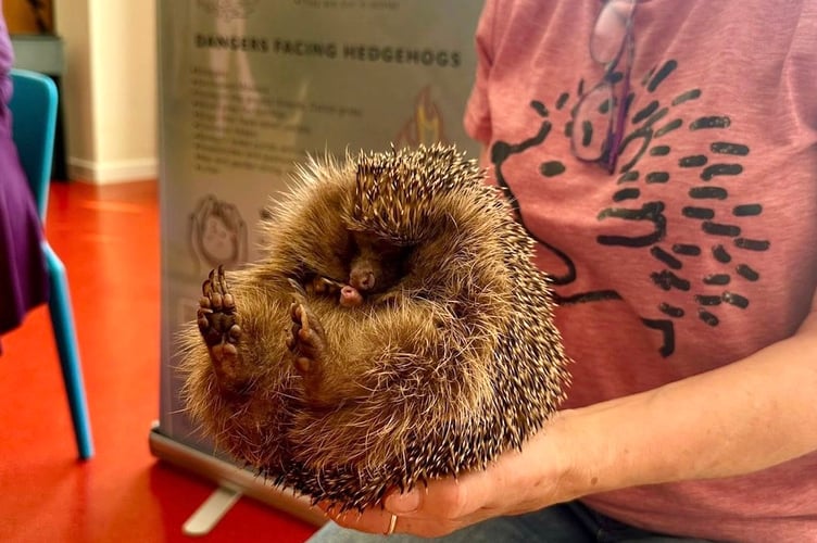 “We even had a very special visitor — Cherry Cake, a real hedgehog! The children learned how we can protect these amazing animals and the environment they live in.