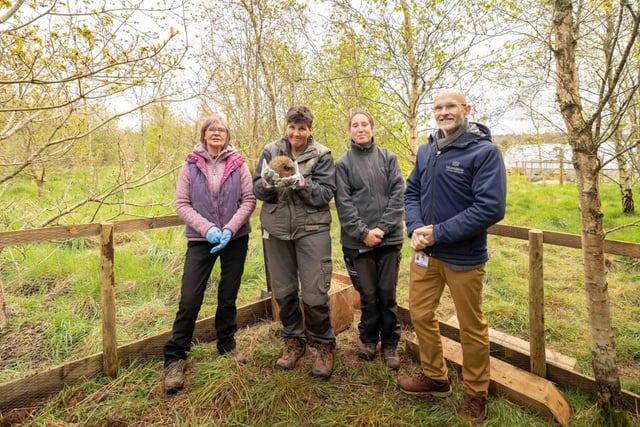 Pembrokeshire Hogspital and Bluestone's hedgehog rescue success