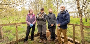 Pembrokeshire Hogspital and Bluestone's hedgehog rescue success