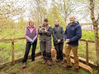 Pembrokeshire Hogspital and Bluestone's hedgehog rescue success