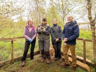 Pembrokeshire Hogspital and Bluestone's hedgehog rescue success