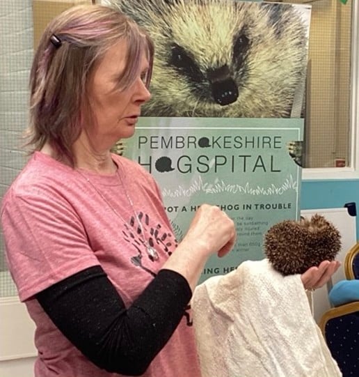 Ginny visits schools and clubs, to educate, inform and inspire interest in helping and conserving hedgehogs, a species at risk of extinction.