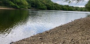 Farmers and growers need a 'splash of rain' following dry spring