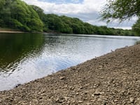Farmers and growers need a 'splash of rain' following dry spring
