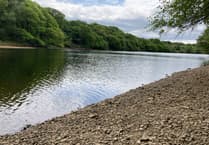 Farmers and growers need a 'splash of rain' following dry spring for Carmarthenshire