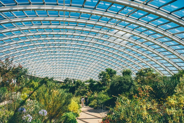 National Botanic Garden marks 25 years with bank holiday celebration