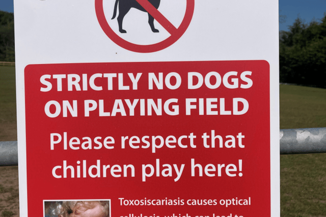 Dog ban enforced at Saundersfoot's sports fields