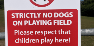Dog ban enforced at Saundersfoot's sports fields