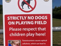 Dog ban enforced at Saundersfoot's sports fields