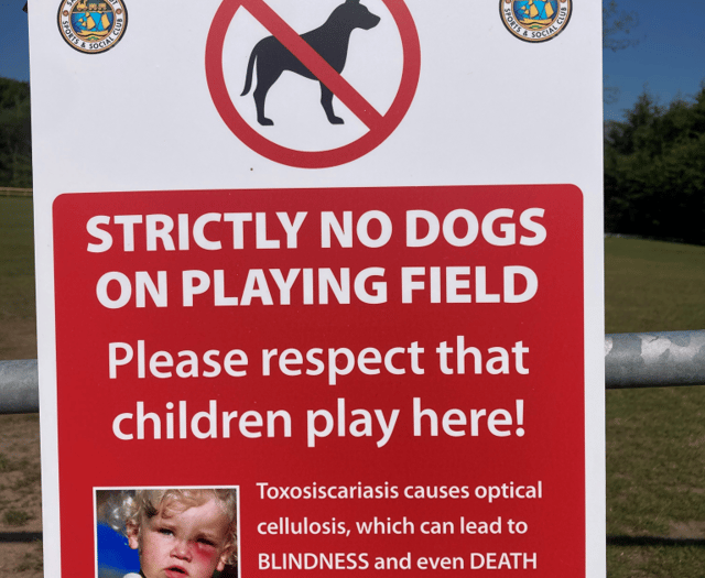 Dog ban enforced at Saundersfoot's sports fields
