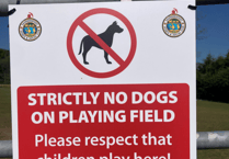 Dog ban enforced at Saundersfoot's sports fields after fouling issues