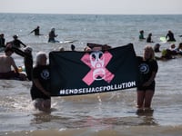 WWF Cymru Poll: Welsh waters in crisis - public demand action