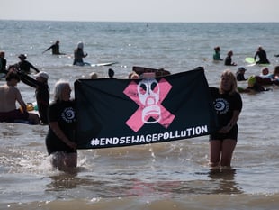 WWF Cymru Poll: Welsh waters in crisis - public demand action