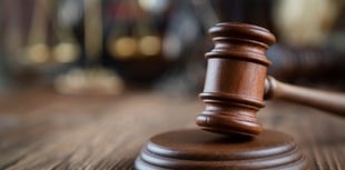 Council probe uncovers £100k dog breeding penalty