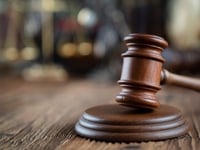 Council probe uncovers £100k dog breeding penalty