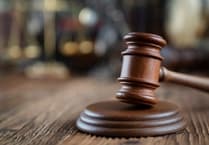 Man prosecuted for illegal dog breeding following council investigation