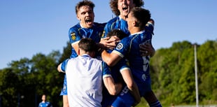 Bluebirds back in Europe