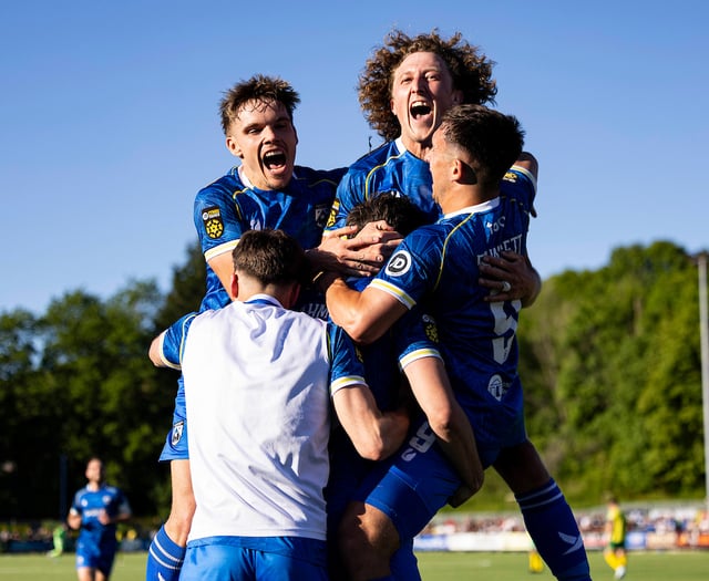 Bluebirds back in Europe