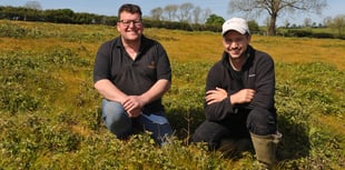 How improving soil health will reduce farmland weed burdens