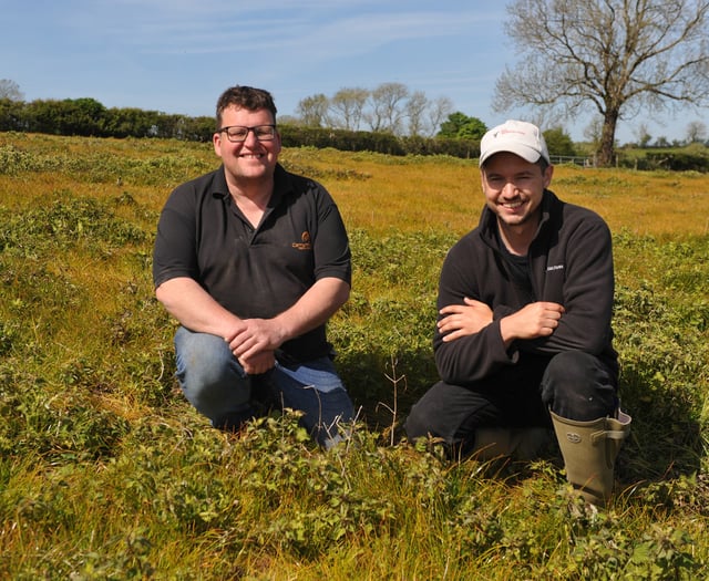 How improving soil health will reduce farmland weed burdens