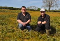 How improving soil health will reduce farmland weed burdens