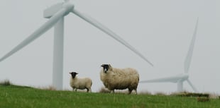Wind turbine scheme proposed between Sageston and Tenby