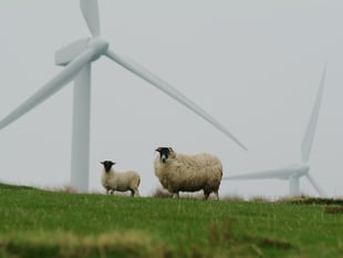 Welsh energy debate: Wind and pylons