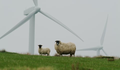Welsh energy debate: Wind and pylons